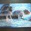 Lenticular cover 3d 80 sheet 300g notebook