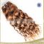 Wholesale hair extensions 7a grade curly no tangle brazilian curly blonde hair