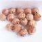 Lotus Seed Lotus Nut Lotus Kernel Dried Red Lotus Seed Brown Lotus Seed Without Core Plumule