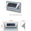 Decorative Wall Mounted Outdoor Solar Lights Waterproof