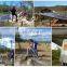 2020 best pompe a eau solaire suppliers high pressure screw solar pump for borewell BMP522
