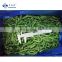 Sinocharm IQF 2-4cm  Frozen green beans cut on sale