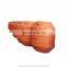 Dredging Pipe  Floater  MDPE Dredging Pipe Floater  560mm