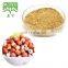 100% Natural Gordon Euryale Seed Extract Semen Euryales Extract