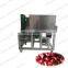 industrial olive pitter machine from Elva