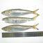 Good quality frozen sardine seafood fish 85-90 pcs