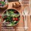 Yada Biodegradable Disposable Wooden Flatware Fork Knife Dinnerware Weddings Wooden Spoon Knife Forks Set For Fast Food