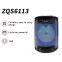 Portable 6.5 Inch Active Stereo 12W High Power Wired Microphone Support Multiple Playback Modes Speaker