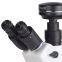 Inverted metallurgical microscope MJX60