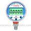 digital storage-type pressure gauge