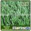 American Football Field Artificial Grass