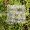 4mm hollow polycarbonate sheet from china