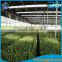greenhouse plastic white transparent film for vegetable,flowers,mushrooms,animals, pigs,chicken                        
                                                Quality Choice