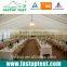 Tent Roof Linning and Drapes for Wedding, Party