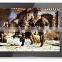 Christmas promotional 10inch tablet A31s Capacitive screen Quad core Bluetooth Android 4.2WIFI camera 1GB/16GB ROM