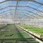 transparent corrugated plastic roofing sheet