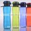 Fashional Plastic Water Bottle Sports Bottle Fruits Bottle
