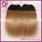 Soft Smooth factory supply straight two tone hair extension ombre colored hair weave