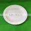 10" melamine white plate for restaurant and hotels
