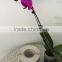 High quality cheap price paper material food labels self-adhesive stickers printing in roll