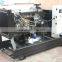 Silent YangDong engine Single phase diesel generator 15KVA