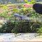 New plastic flying crow for garden decoration
