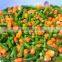 Frozen Mixed Vegetables