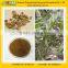 GMP Certified Factory Supply Natural Dendrobium Extract