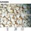 Frozen IQF garlic dices/slices/clove/crushed,Grade A