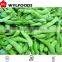 high quality from china FROZEN BLANCHED SOY BEANS best price