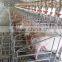 pigsty |crates with CE/CCC certificate|sow gestation crates or farrowing crate