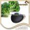 Efficient Better Price 100% Natural Green organic potash fertilizer