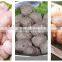 Industrical Fish Meat Balls Forming Machinery