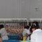 Chicken Slaughtering Processing Line/ Chicken Slaughtering Production