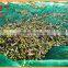 HDPE knitted olive picking net