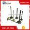 Engine intake valve
