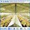 UAE Best Price Good Quality Steel Frame Hen House