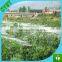 nylon monofilament bird net / nylon bird net / anti-bird net