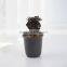 Plastic Round Resin Succulent Plant Pot/Cactus Plant Pot Flower Pot