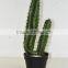 SJ3001105 artificial plant cactus home decoration