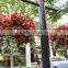 SOL good design outdoor hanging pots self-watering flower planter landscape pots