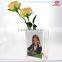 Hot sale wholesale acrylic clear green and black tall glass vases