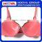 85% Nylon And 15%Polyester Sexy Fancy Stylish Bra And Panty Set