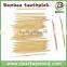 Two point bamboo toothpick