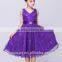 Dress Summer Lace Princess Dress Girls Dress
