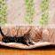 Short floss pet tunnel for cat,rabbit,mink