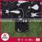 New design easy - carrying printed polar fleece picnic blanket