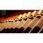 Foods Import Customs Clearance, international logistics