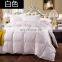 Down duvet printed comforter down quilt for hotel/home