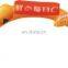Orange arch windows Oxford fabric lever arch file